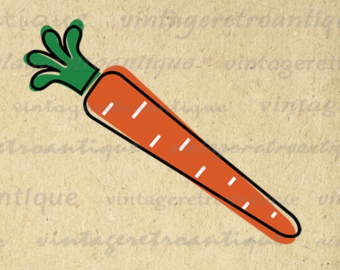 Digital Retro Carrot Illustration Graphic Image Printable Download Vintage Clip Art HQ 300dpi No.3995