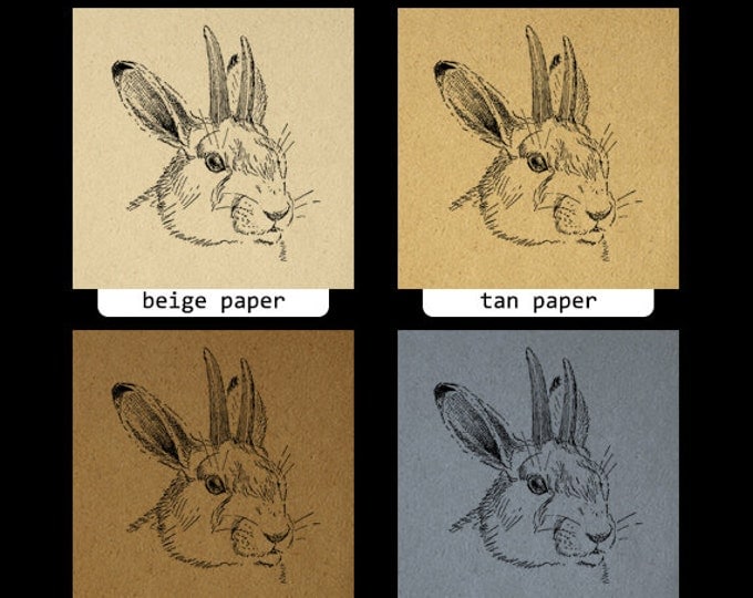 Digital Printable Jackolope Graphic Rabbit Image Bunny Download Vintage Clip Art for Transfers Printing etc HQ 300dpi No.1106