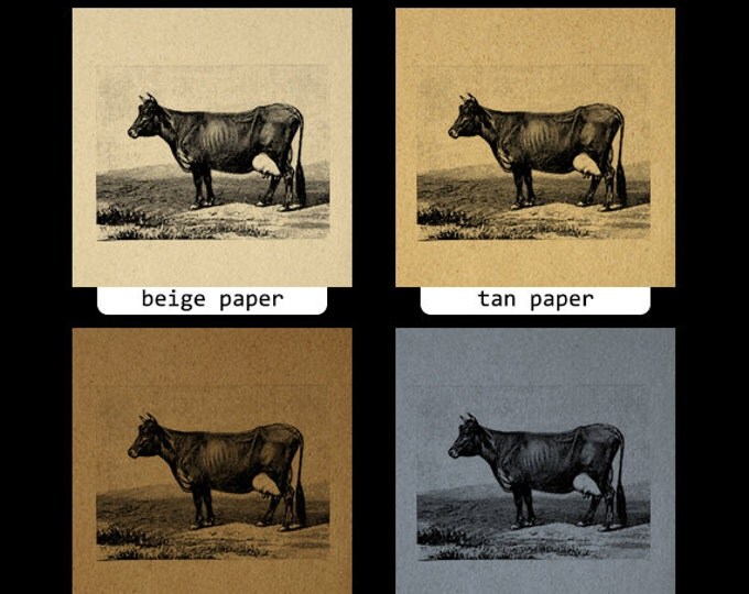 Printable Image Cow Digital Antique Cow Graphic Download Vintage Clip Art Jpg Png Eps HQ 300dpi No.657