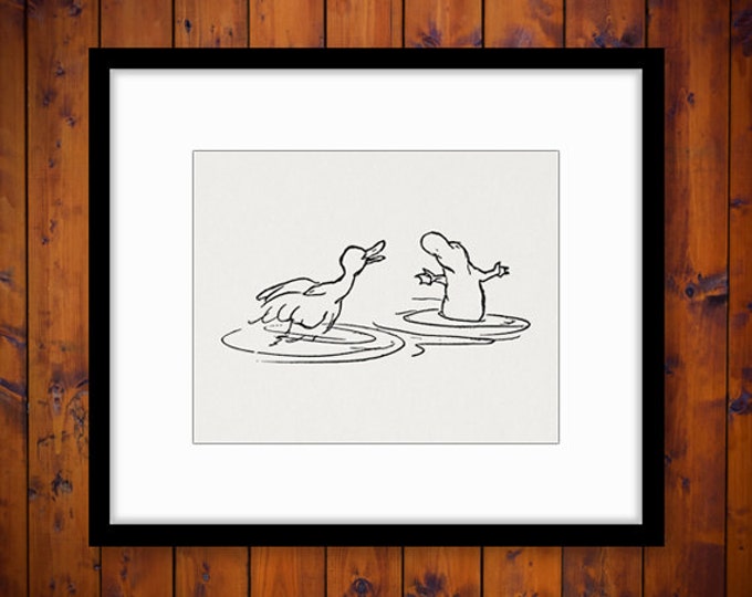 Digital Image Duck and Platypus Download Graphic Cartoon Illustration Printable Vintage Clip Art Jpg Png Eps HQ 300dpi No.1824