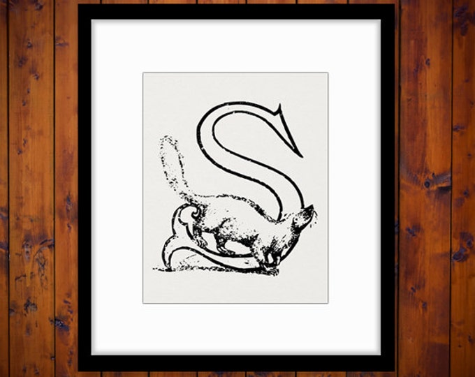 Squirrel with Letter S Printable Digital Download Squirrel Image Letter S Graphic for Transfers Pillows Tea Towels etc HQ 300dpi No.4707