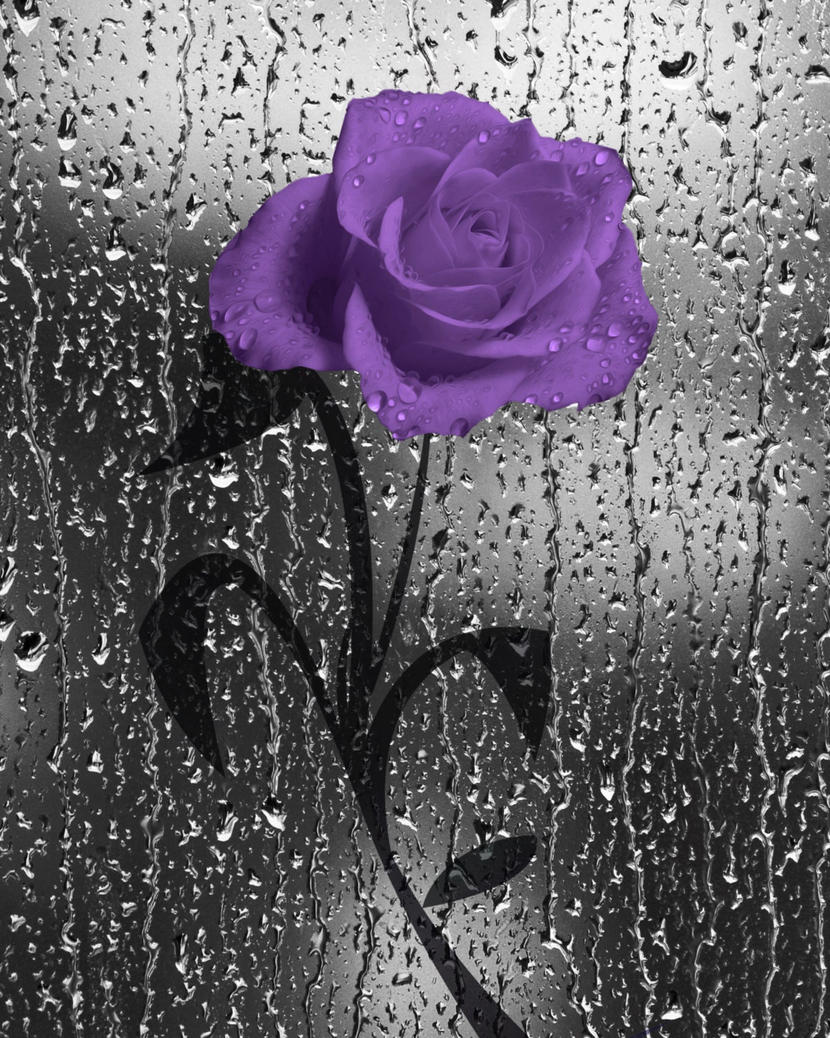 Purple Rose Flower Raindrops Wall Art Purple Bathroom Powder