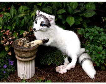 canadian marble fox plush