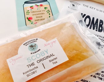 1 Gallon Batch Size SCOBY, 4" Kombucha SCOBY + 1.5 Cups Starter Tea