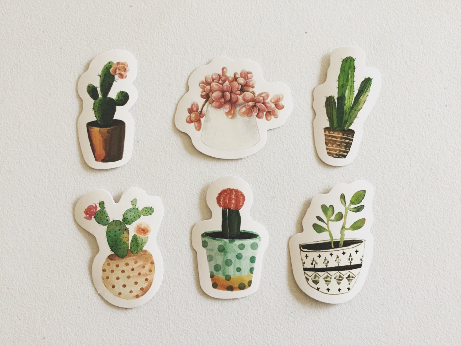 Cactus Stickers, Succulents Stickers, Cacti Plants Stickers, Botanical