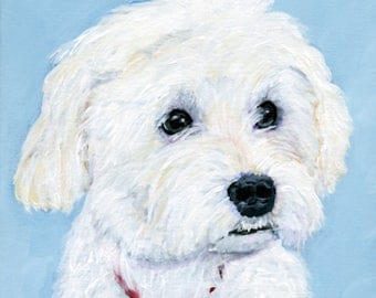 custom pet portrait from photo pet painting of pet maltipoo decor maltipoo art maltese poodle maltipoo owner gift dog portrait