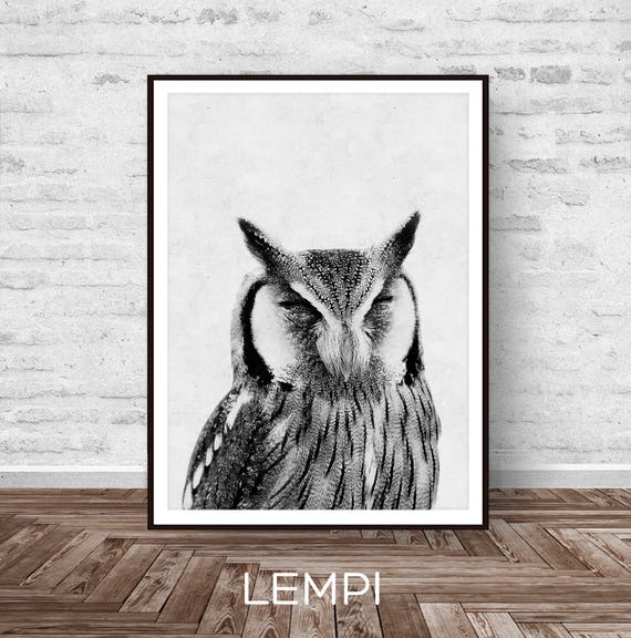 Items similar to Owl Print, Black and White, Owl Wall Art, Owl Art