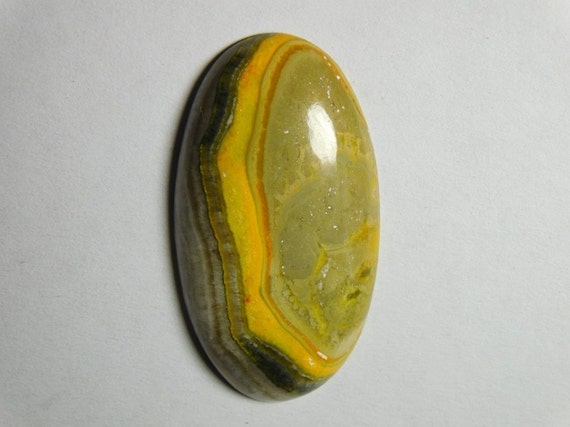 bee jasper bee jasper