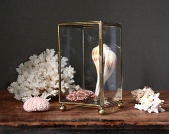 Glass display box, brass and glass box