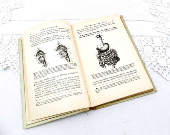 Antique French Natural Science Illustrated School Book 252 pages, French Decor, Vintage Decor, Shabby, Chic, Illustrations, Retro, Home