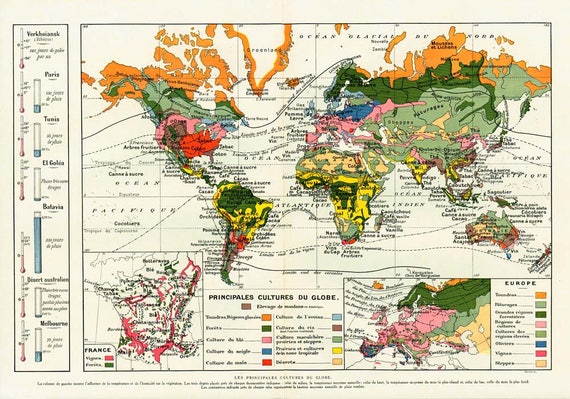 1920 Antique World Map Of Agriculture And Plants. Climate. 100