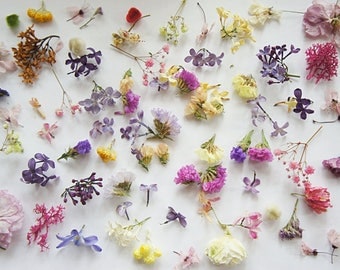 Dried mini flower for resin jewelry, mixed flower for glass orb-glass vial filter, dried mixed mini flowers, set of mix flowers for craft
