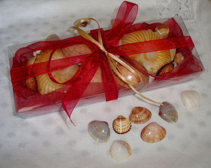 Natural Sea Shells & Decorative Shell Soap in a Gift Set, Beach Glycerin Scented Soaps, Aegean Sea Natural Shells, Unique Fathers Day Gift