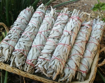 Large White Sage Bundle (8 inches) - Perfect for Cleansing and Getting Rid of Negative Energy or Evil Spirits - One Smudge Stick