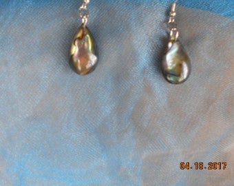 Paua or Abalone, Same Shell, all Natural & Magnificent!!!