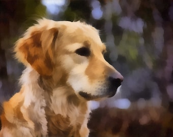 Pet Portrait, Custom Dog Portrait, Pet painting, Pet Portrait from Photo, Custom order, Made to Order, Golden Retriever, Free Shipping!