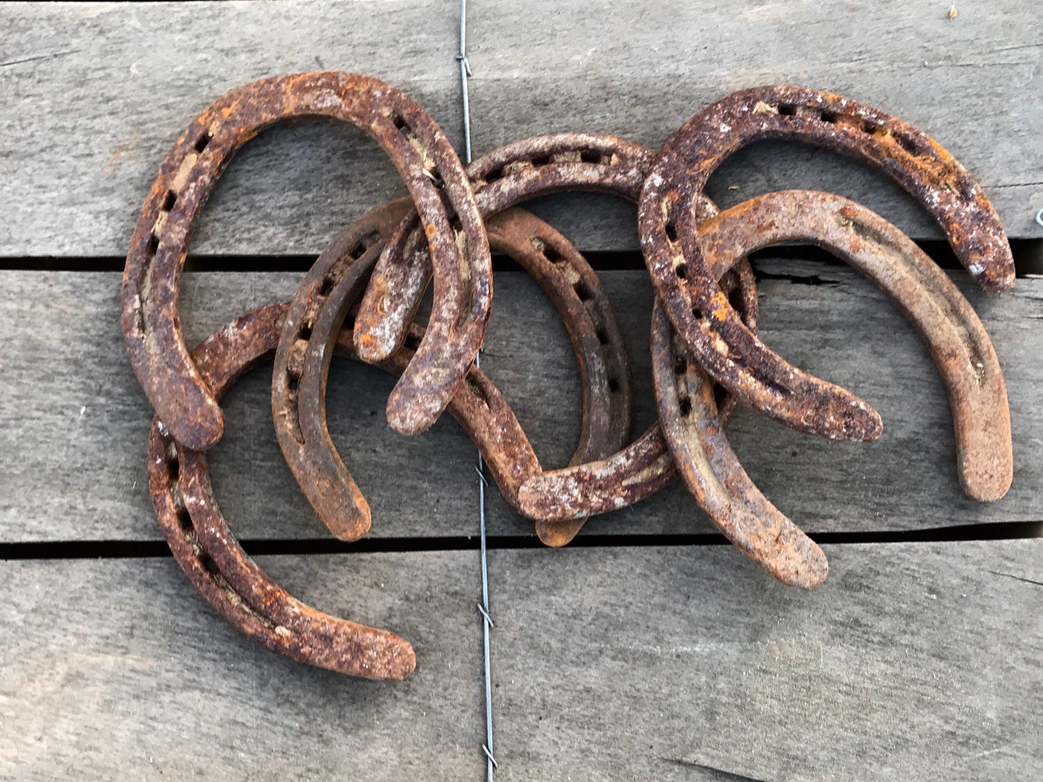 10 Old Horseshoes, Lucky Horseshoe, Rustic Decor, Barn Decor, Rusty Horseshoes, Rustic Western