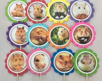 Hamster birthday | Etsy