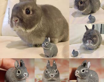 Mini-me, Custom Pet Portrait Necklace, Figurine, Polymer Clay, Handmade, Bunny, Pig, Cockatoo, rat, Guinea pig, Miniature, Pet Memorial