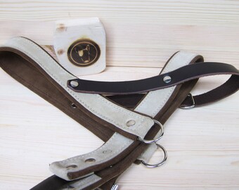 Dog Harness in Beige Suede Leather - Adjustable and Comfort Dog Harness for Small and Large Dogs - Italian Handmade Harness - YupCollars