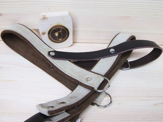 Dog Harness in Beige Suede Leather - Adjustable and Comfort Dog Harness for Small and Large Dogs - Italian Handmade Harness - YupCollars