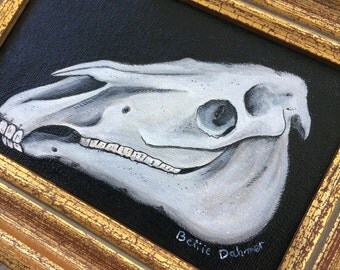 horse skull crane cheval cadre vintage art original cabinet de curiosité
