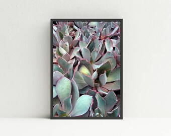 Succulent Wall Art succulent wall art | etsy Succulent Wall Art succulent wall art | etsy
