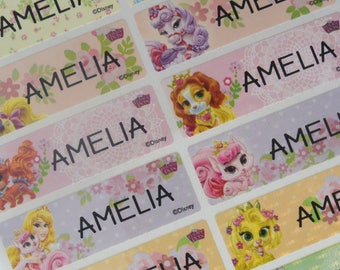 Disney Princess Pet, personalized sticker, name label waterproof, Name tag sticker, vinyl labels, dishwasher safe labels, Name labels, LARGE