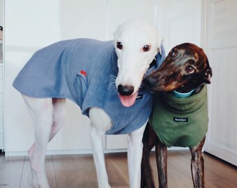 Custom Italian greyhound, Whippet, greyhound coat