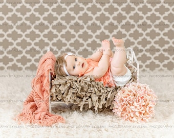 Newborn toddler child Digital Photography Prop Metal Bed