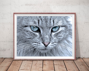 Cat Wall Art cats are like potato chips cat sign funny cat wall art Cat Wall Art cats are like potato chips cat sign funny cat wall art