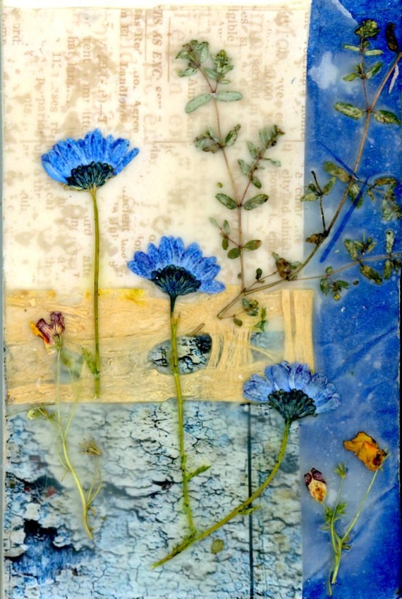 dried flower art encaustic art pressed flowers collage