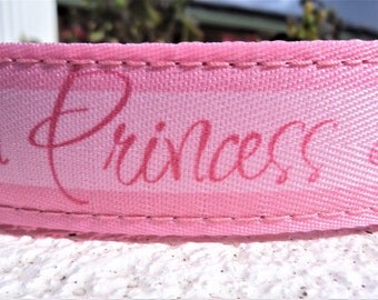 Disney Dog Collar, Pink Princess, 1" width Quick Release buckle adjustable - limited ribbon no martingale