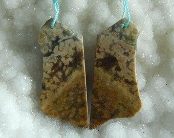 Nugget Ocean Jasper Earring Bead,39x17x3mm,8.4g