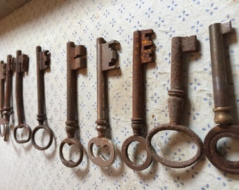 Wedding Favors, Skeleton key collection, Ten old keys, Rustic antique keys, french antique keys, steampunk key set, wedding favour key,