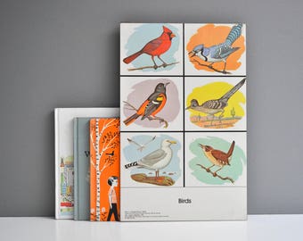 Vintage 1980s Preschool Teacaher's Resource Bird Chart