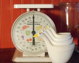 American Family Scale Avon duck measuring cups vintage kitchen combination farmhouse ducks