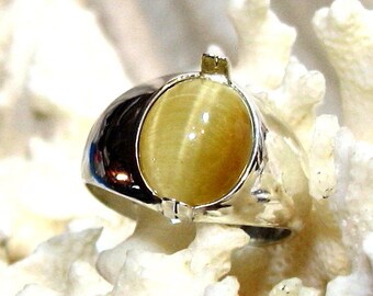 12x10 Mens Tiger Eye Ring Solid 925 Sterling Silver Size 10 Unisex Oval 5ct.