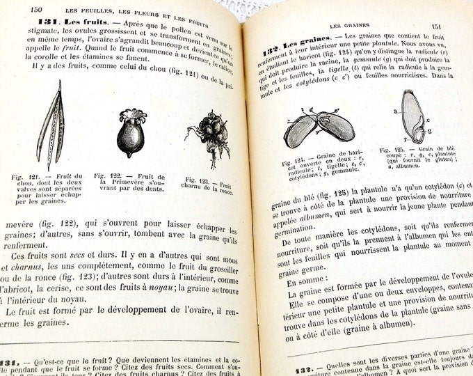 Antique French Natural Science Illustrated School Book 252 pages, French Decor, Vintage Decor, Shabby, Chic, Illustrations, Retro, Home
