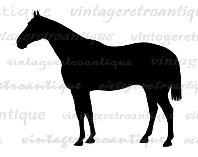 Horse Silhouette Printable Image Graphic Illustration Download Digital Vintage Clip Art Jpg Png Eps HQ 300dpi No.3374