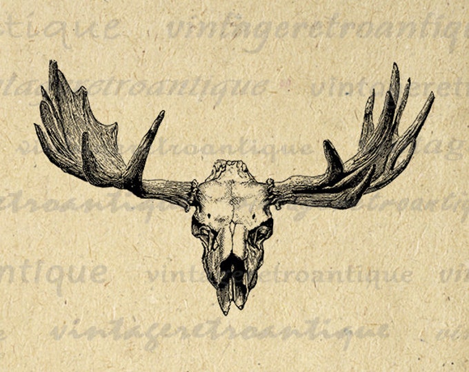 Digital Graphic Elk Skull Image Download Printable Artwork Vintage Clip Art Jpg Png Eps HQ 300dpi No.2125