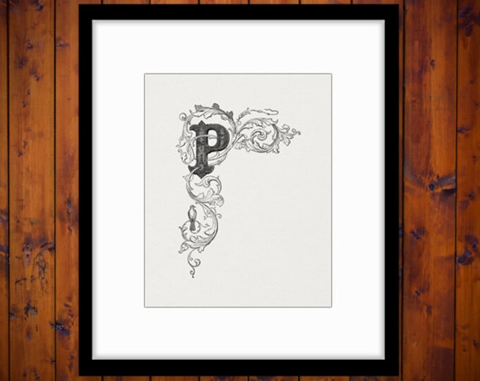 Elegant Letter P Digital Graphic Image Floral Design Printable Download Antique Clip Art Jpg Png Eps HQ 300dpi No.795