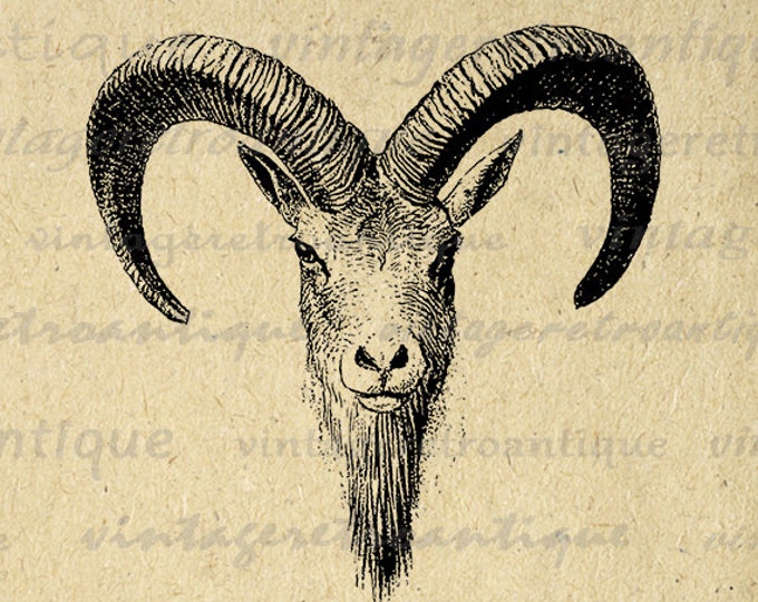 Antique Goat Digital Printable Image Ram Horns Graphic Download Jpg Png Eps HQ 300dpi No.481