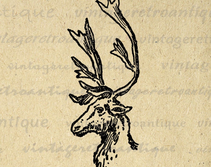 Digital Image Reindeer Deer Graphic Download Printable Artwork for Transfers Pillows Tea Towels etc HQ 300dpi No.2408