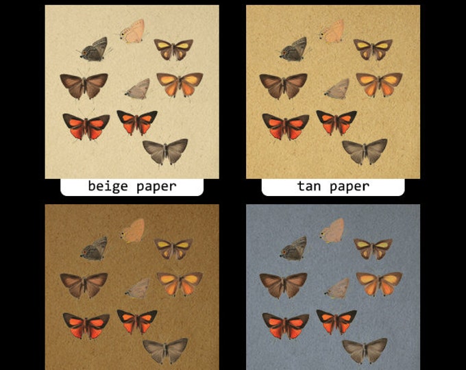 Printable Graphic Butterflies Collage Sheet Download Digital Image Vintage Clip Art HQ 300dpi No.813