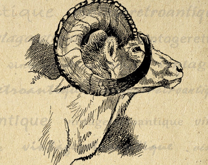 Digital Printable Wild Goat Image Ram Graphic Download Artwork Vintage Clip Art Jpg Png Eps HQ 300dpi No.4173