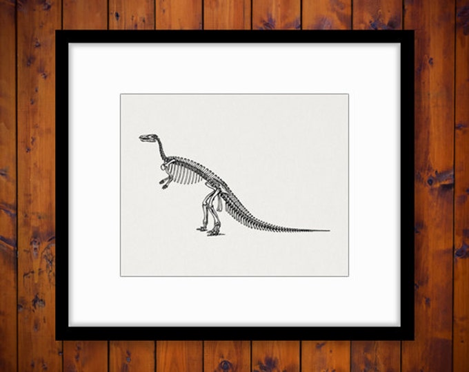 Dinosaur Skeleton Printable Graphic Download Image Digital Artwork Vintage Clip Art Jpg Png Eps HQ 300dpi No.2138