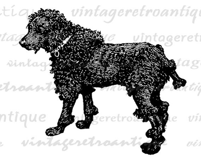 Dog Antique Image Graphic Download Digital Printable Vintage Clip Art for Transfers Printing etc HQ 300dpi No.357