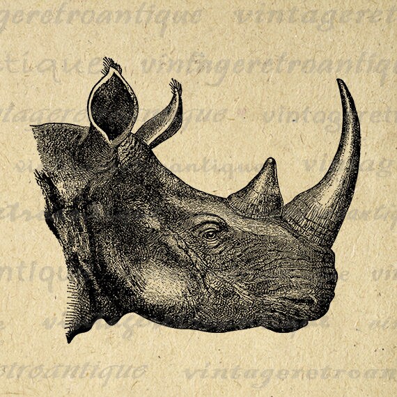 rhinoceros graphic