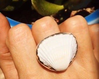 Handmade sterling silver seashell ring, seashell ring, seashell, ring, handmade shell jewelry, mermaid